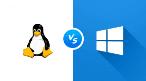Linux or Windows Hosting: Learn How to Choose the Best Option