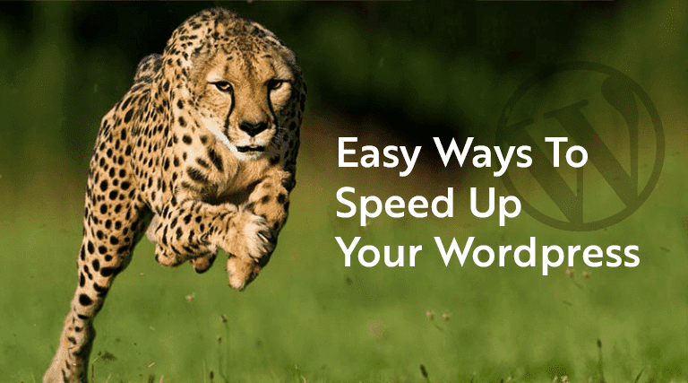 Easy Ways to Speed up your WordPress