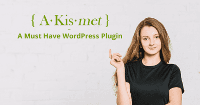 Akismet plugin in WordPress